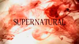 Сверхъестественное: Журнал Джона Винчестера / Supernatural: John Winchesters Journal (A. Irvine)